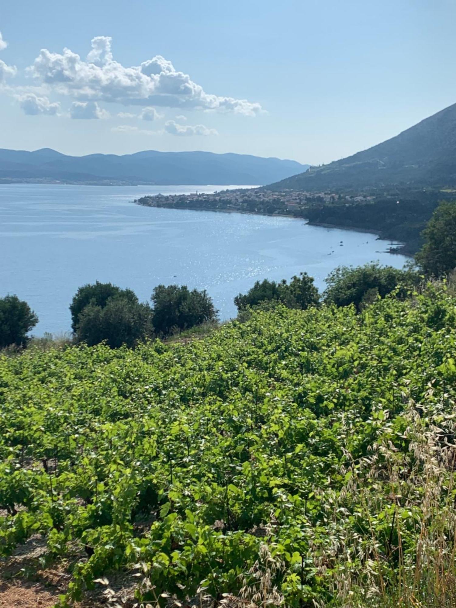 Charming Mokalo Seaside House Next To Beach Orebić Εξωτερικό φωτογραφία